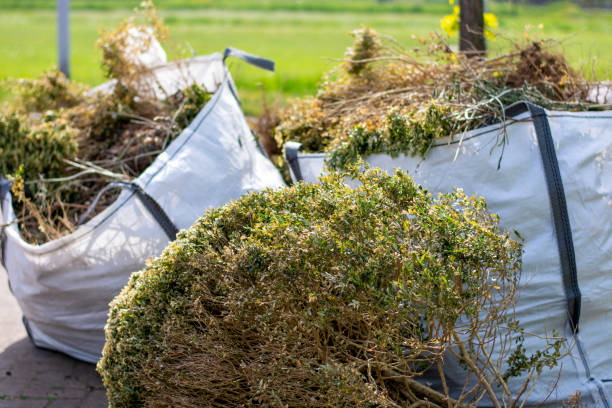 Best Commercial Cleanout Services  in West Hollywood, CA